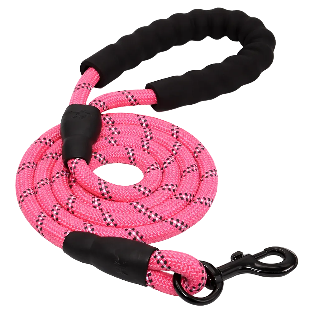 TrailSafe Control Leash
