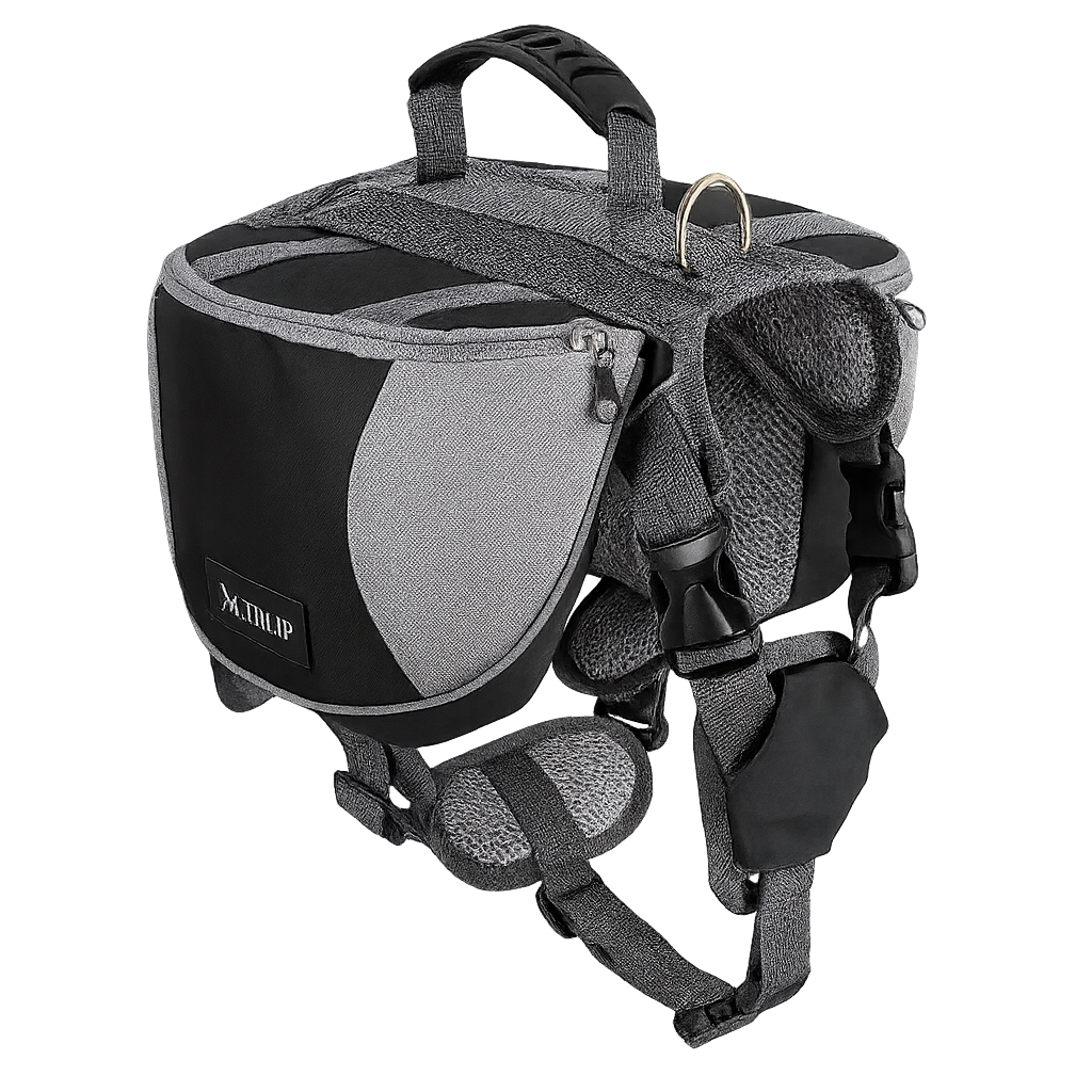 Ultimate Comfort Dog Walking Kit