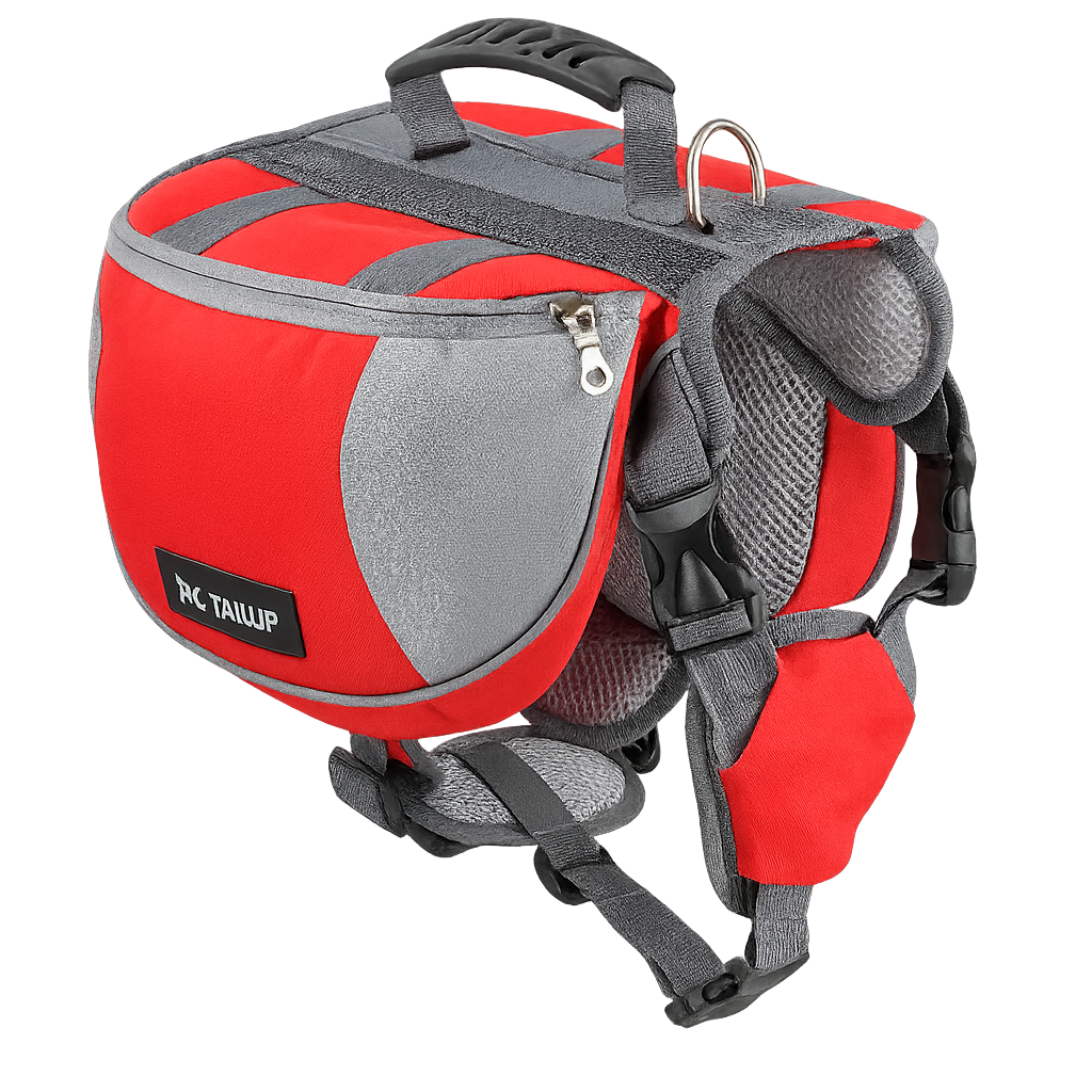 Ultimate Comfort Dog Walking Kit