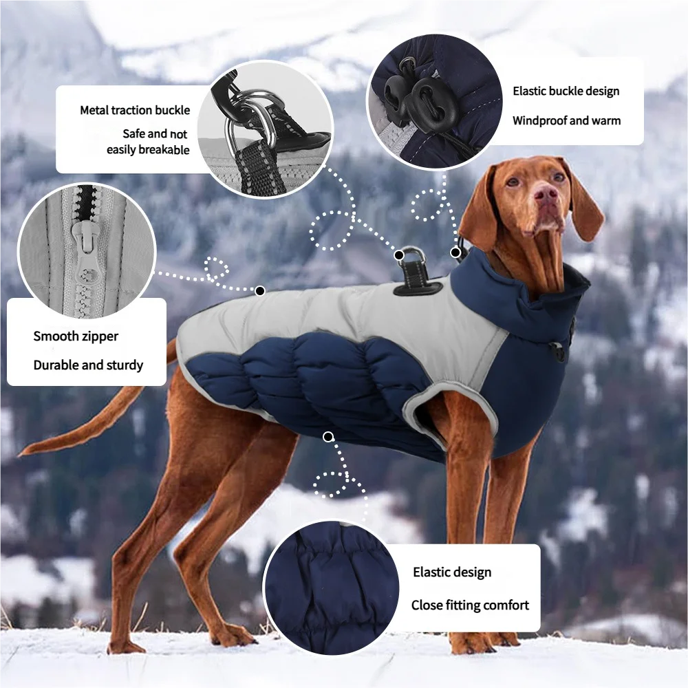 Windproof Warm Dog Jacket – Adventure-Ready Comfort