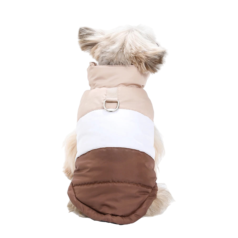 Windproof Dog Jacket With D-Ring