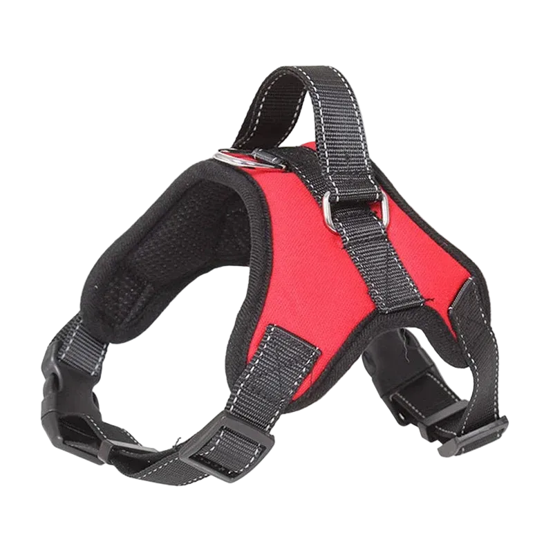 Training Dog Harness