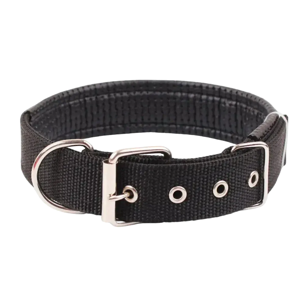 Pawmudder Collar Black / S Adjustable Nylon Dog Collar – Lightweight, Durable & Leash-Ready