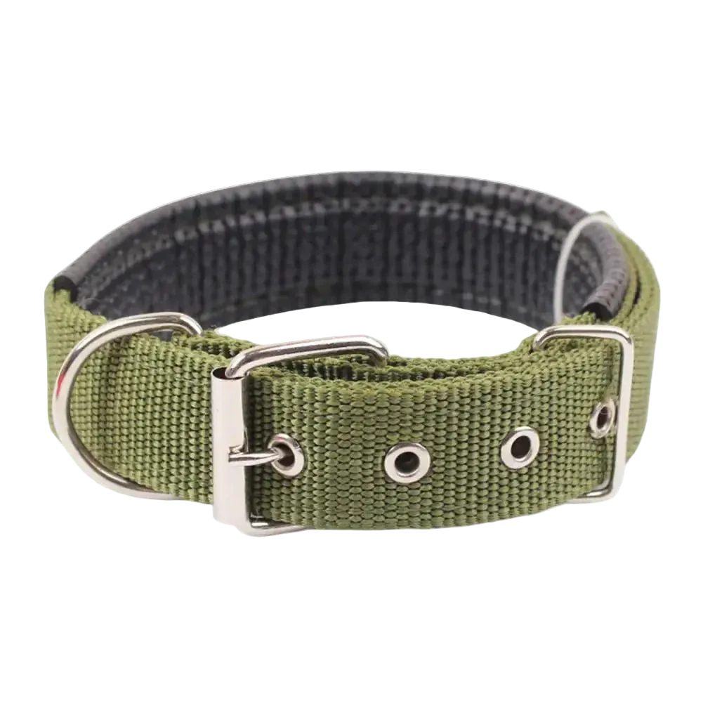 Pawmudder Collar Green / S Adjustable Nylon Dog Collar – Lightweight, Durable & Leash-Ready