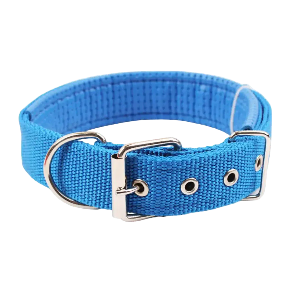 Pawmudder Collar Blue / S Adjustable Nylon Dog Collar – Lightweight, Durable & Leash-Ready