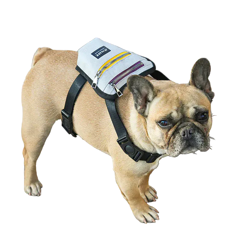 Pawmudder Pack & Pouches Adventure Hound Travel Pack