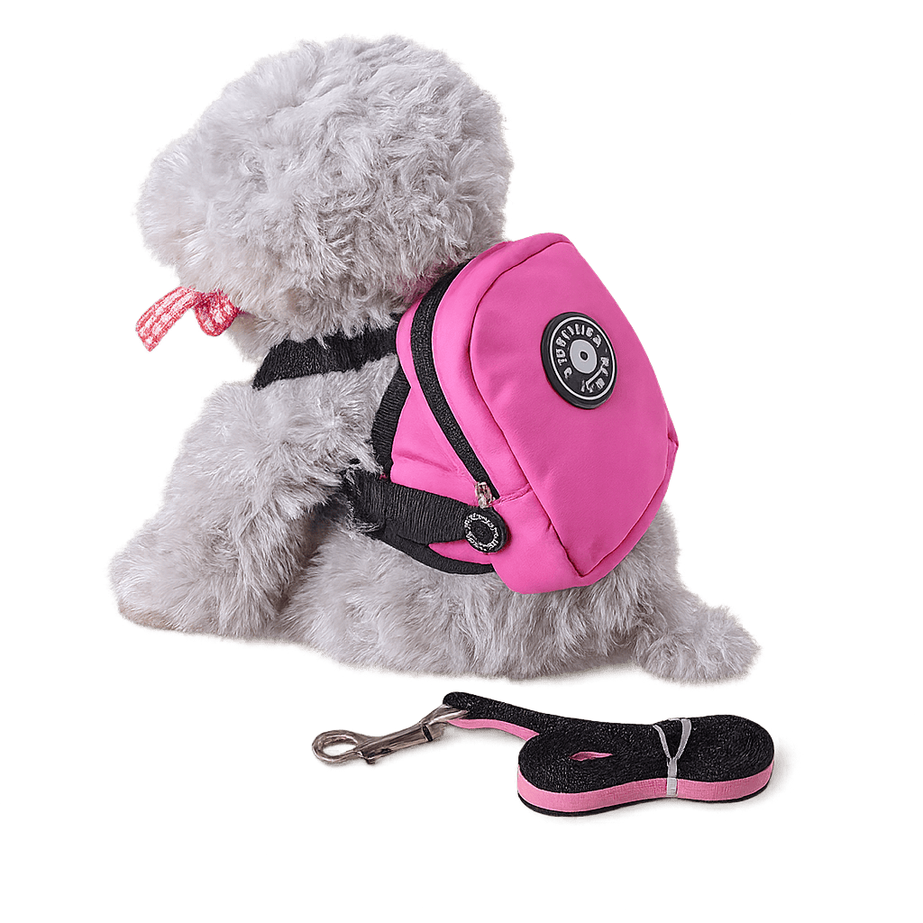 Pawmudder Pack & Pouches Red / S Adventure Pooch Pack