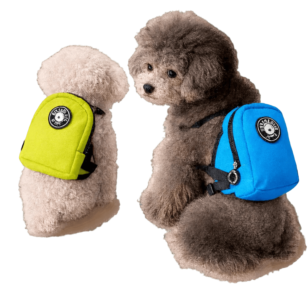 Pawmudder Pack & Pouches Blue / S Adventure Pooch Pack