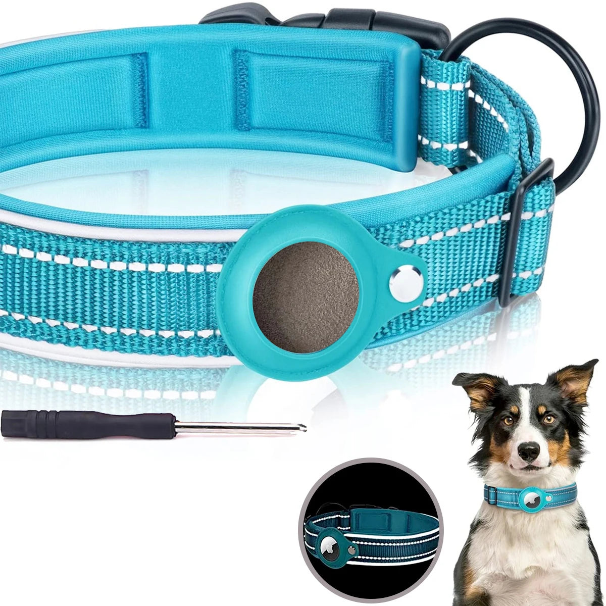 Pawmudder Collar Blue / S AirTag Dog Collar