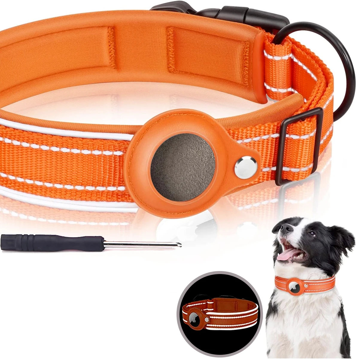 Pawmudder Collar Orange / S AirTag Dog Collar
