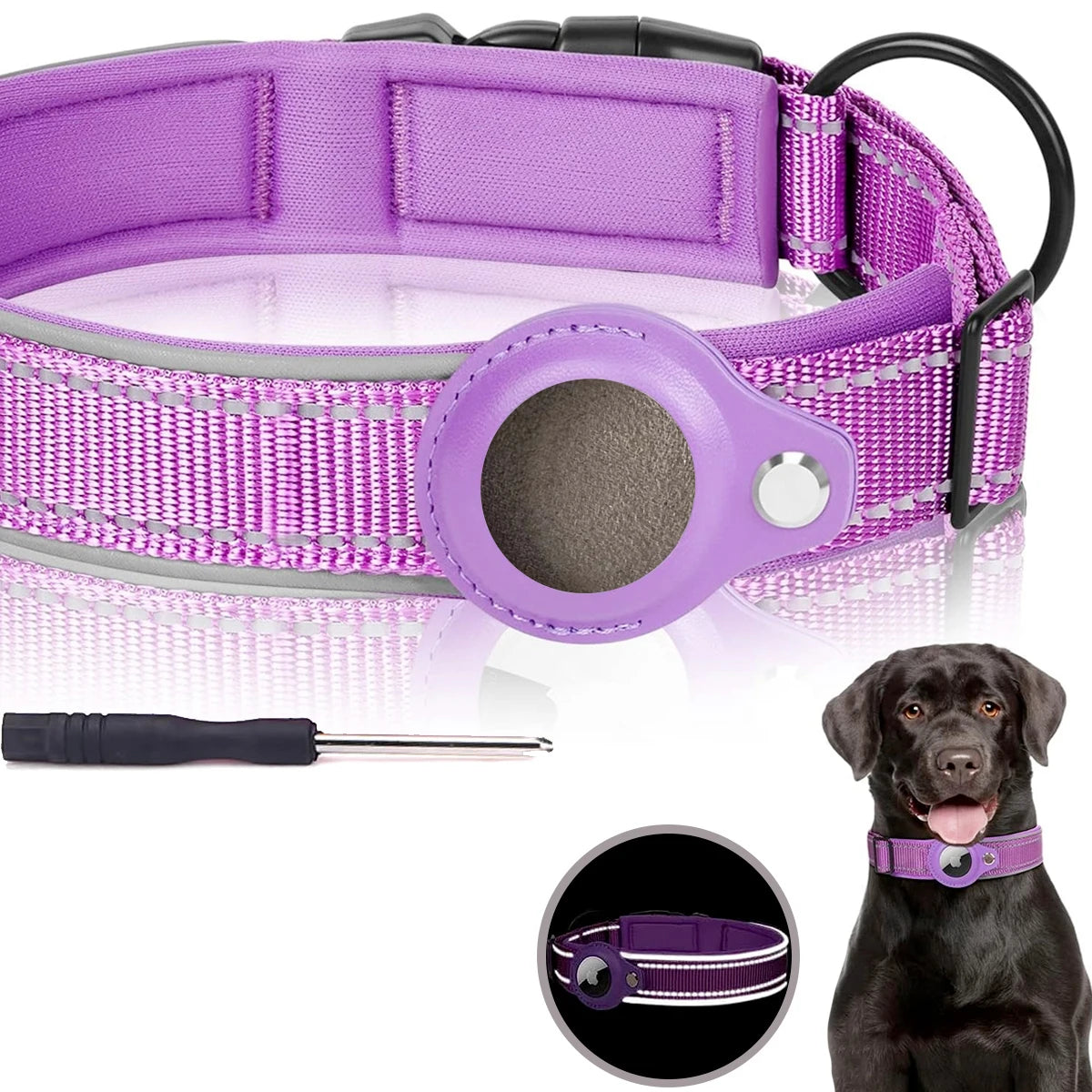 Pawmudder Collar Purple / S AirTag Dog Collar