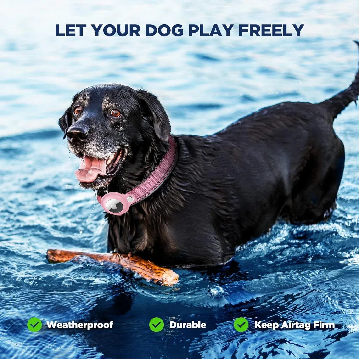 Pawmudder Collar AirTag Dog Collar