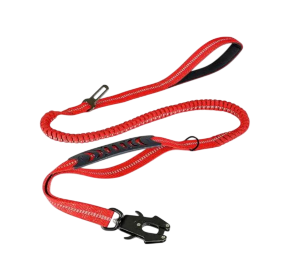 ControlFlex Bungee Lead
