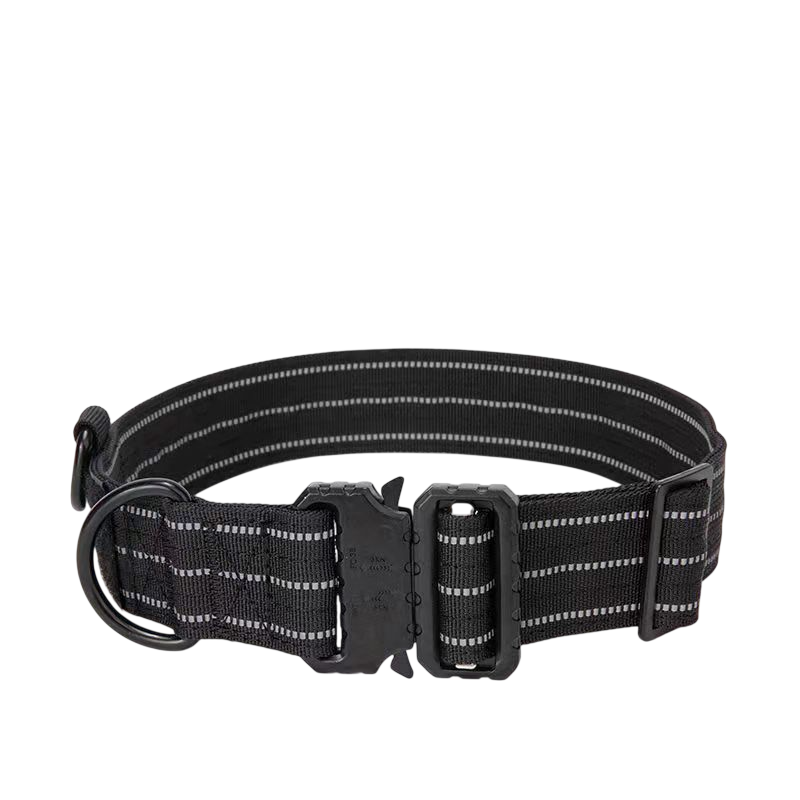 WildCore Dog Collar
