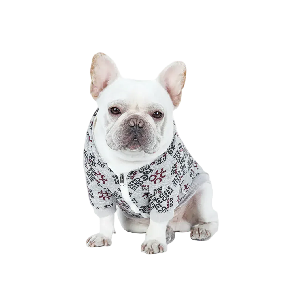 Pawmudder Bandanas Red / S Chic Teddy Print Dog Outfit – Cosy, Stylish & Perfect for Everyday Wear