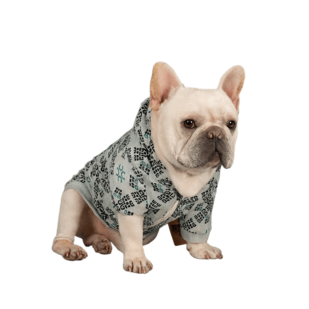 Pawmudder Bandanas Chic Teddy Print Dog Outfit – Cosy, Stylish & Perfect for Everyday Wear