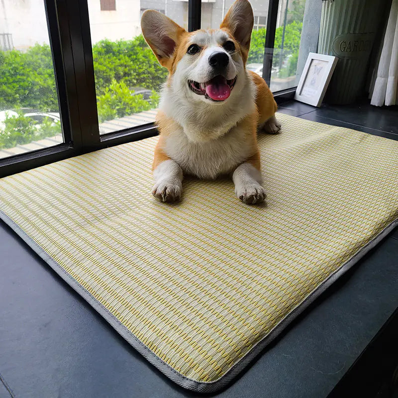 Pawmudder Mats D / S Cooling Comfort Anti-Bite Pet Mat