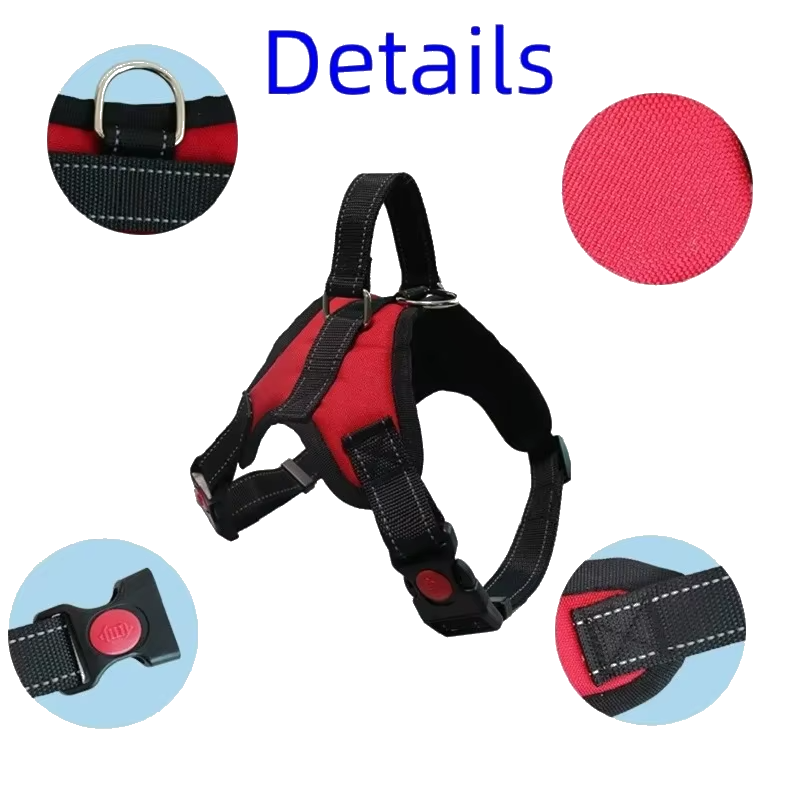 Training Harness