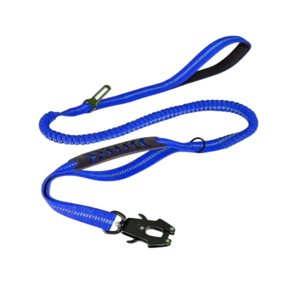 ControlFlex Bungee Lead