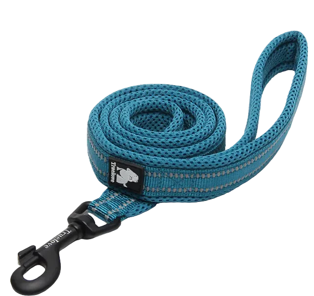 Rugged Dog Leash