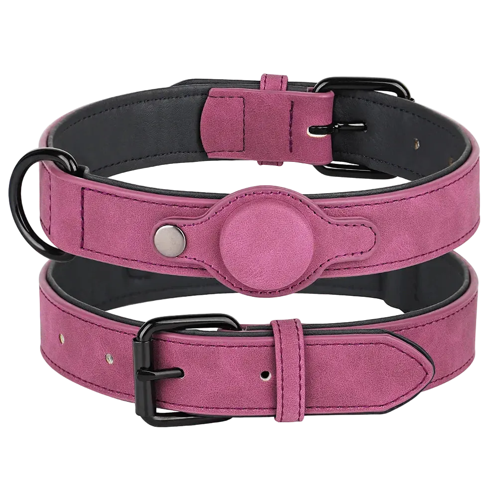 Pawmudder Collar Rose Red / M GPS Dog Collar