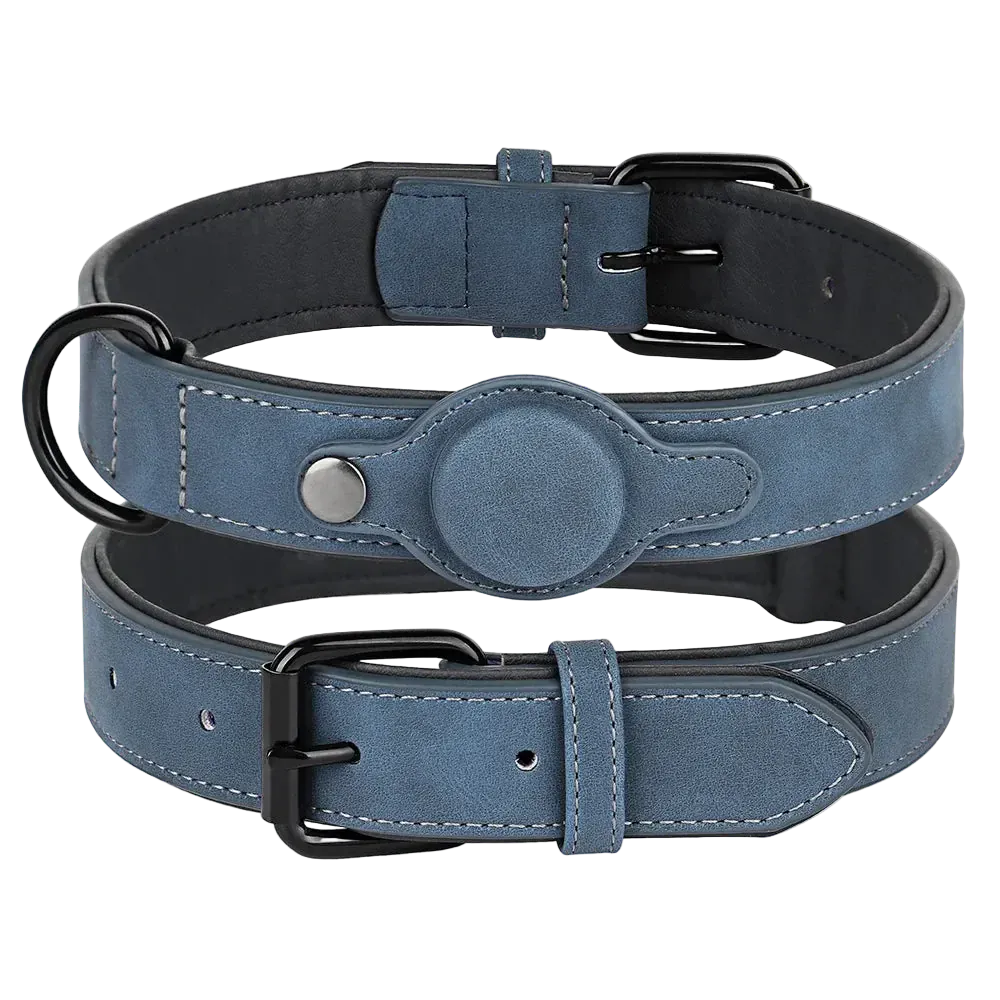 Pawmudder Collar Blue / M GPS Dog Collar