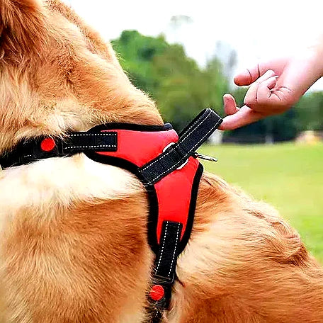Training Dog Harness