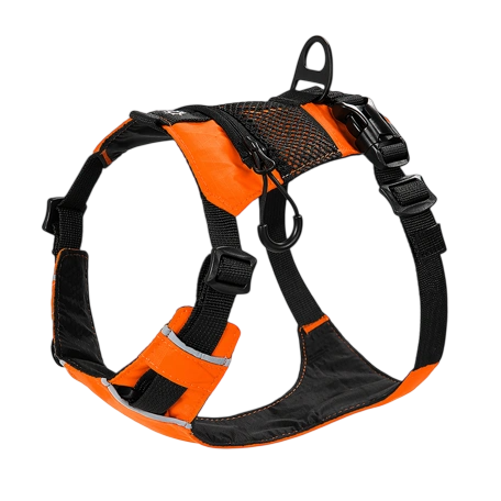 Trail Harness