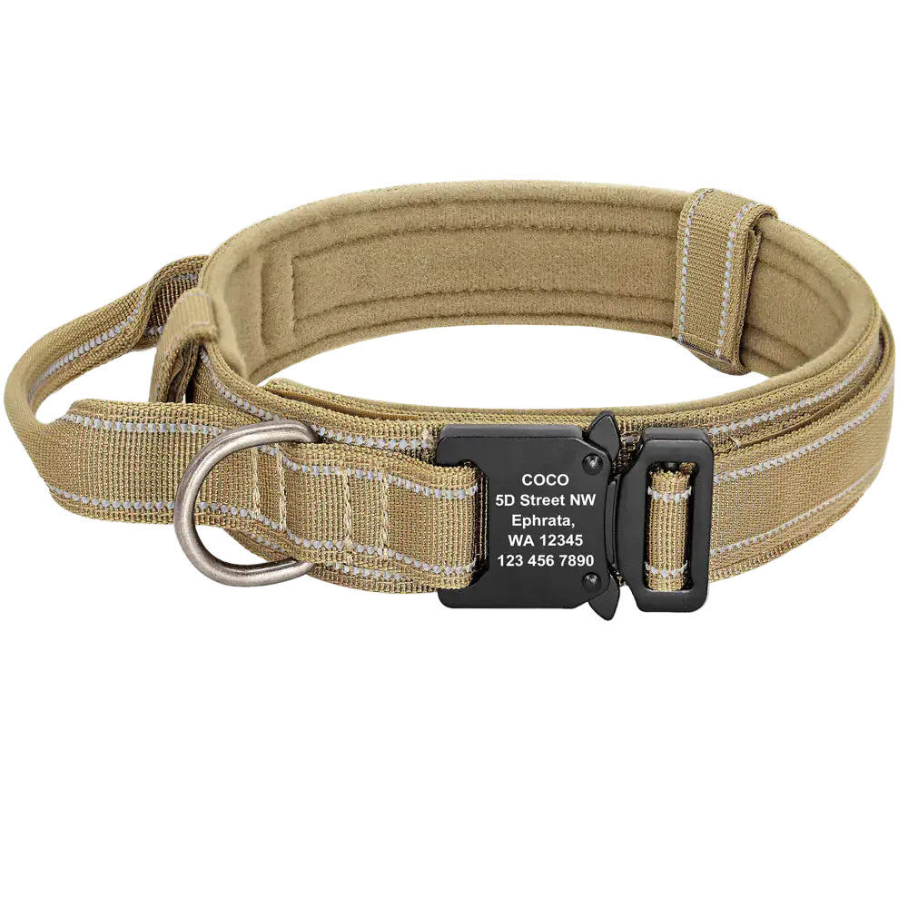 Pawmudder Collar Yellow / L Premium Adjustable Dog Collars for Medium & Large Breeds