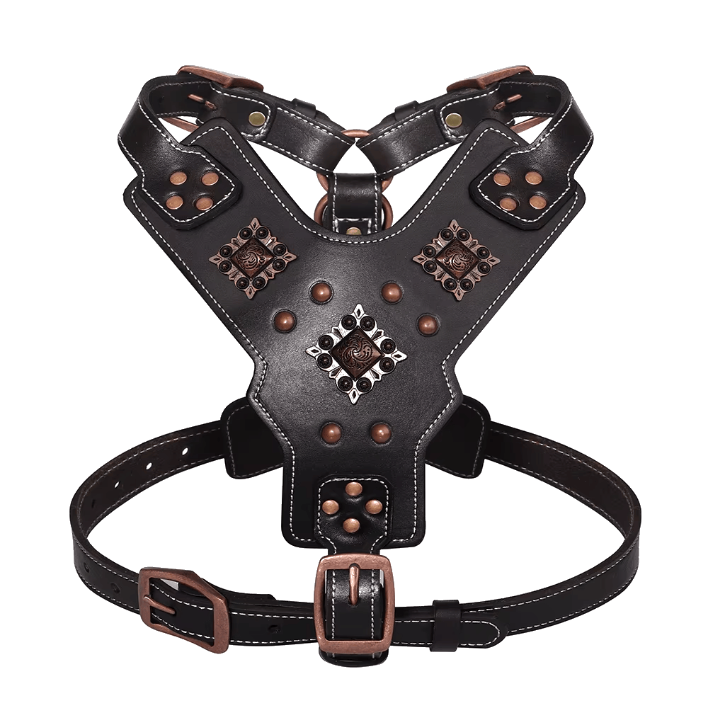 Pawmudder Harness Black / L Premium Leather Training Harness for Strong & Confident Dogs