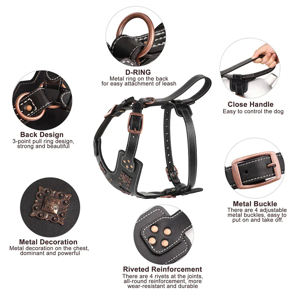 Pawmudder Harness Premium Leather Training Harness for Strong & Confident Dogs