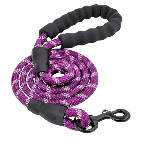 TrailSafe Control Leash