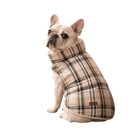 Reversible Dog Jacket