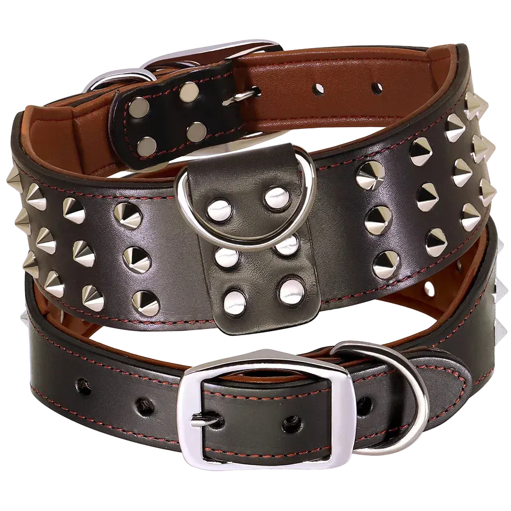 Pawmudder Collar Black / M Spiked Leather Collar