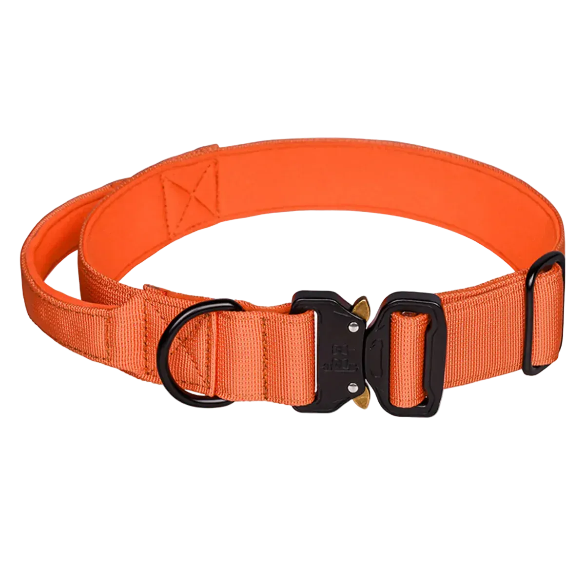 Pawmudder Collar Orange / M Tactical Dog Collar
