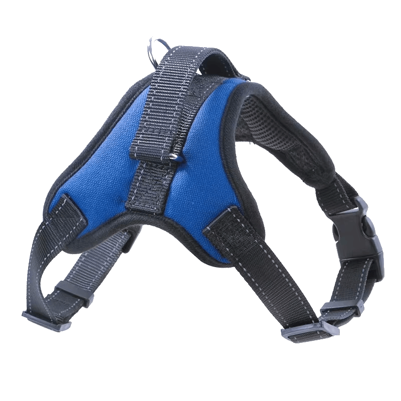 Pawmudder Harness Blue / XS Training Harness – Secure, Comfortable & Adventure-Ready