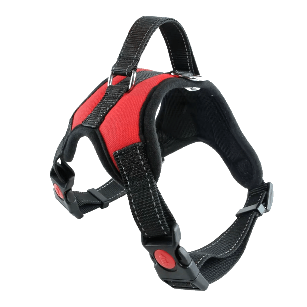 Pawmudder Harness Red / S Training Harness – Secure, Comfortable & Adventure-Ready