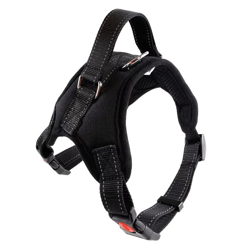 Pawmudder Harness Black / XS Training Harness – Secure, Comfortable & Adventure-Ready