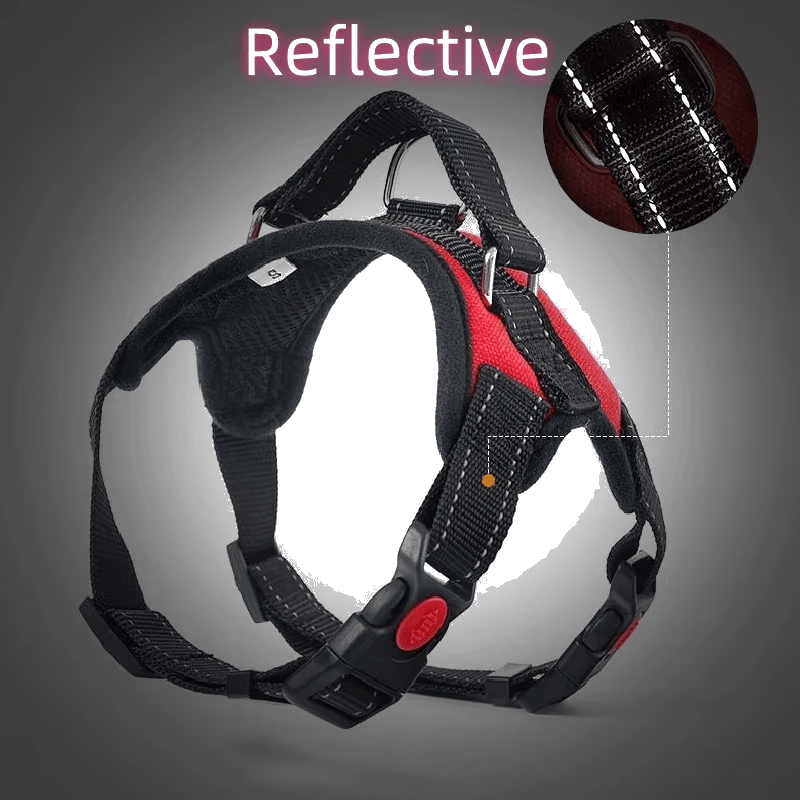 Pawmudder Harness Training Harness – Secure, Comfortable & Adventure-Ready