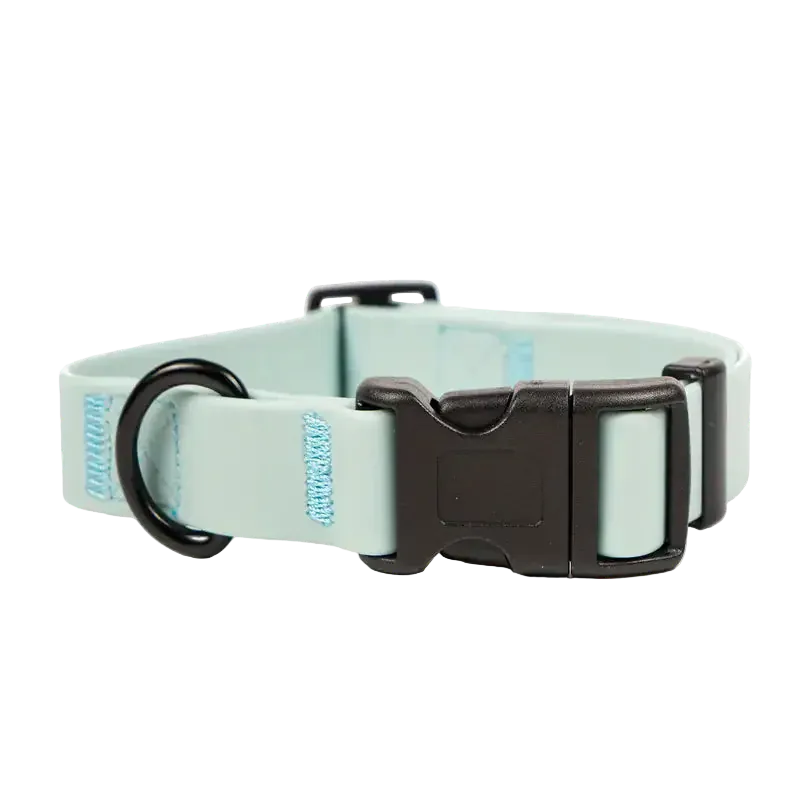Pawmudder Collar Mint Green / S Waterproof PVC Dog Collar – Durable, Adjustable & Adventure-Ready