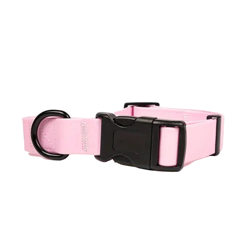 Pawmudder Collar Pink / S Waterproof PVC Dog Collar – Durable, Adjustable & Adventure-Ready