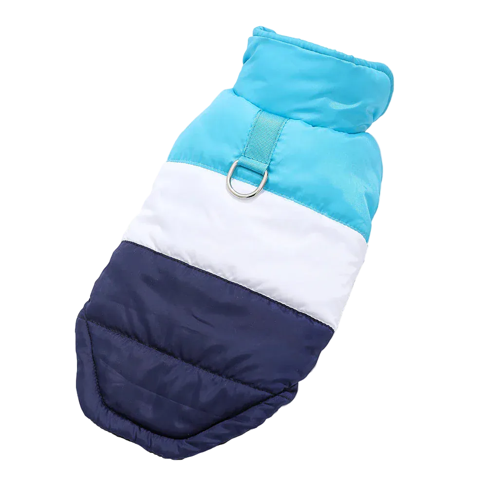 Pawmudder Clothing Blue / XS Windproof Dog Jacket With D-Ring