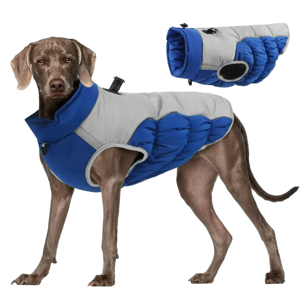 Pawmudder Clothing Blue / XL Windproof Warm Dog Jacket – Adventure-Ready Comfort