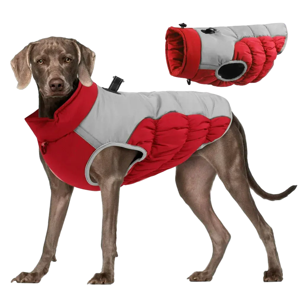 Pawmudder Clothing Red / XL Windproof Warm Dog Jacket – Adventure-Ready Comfort