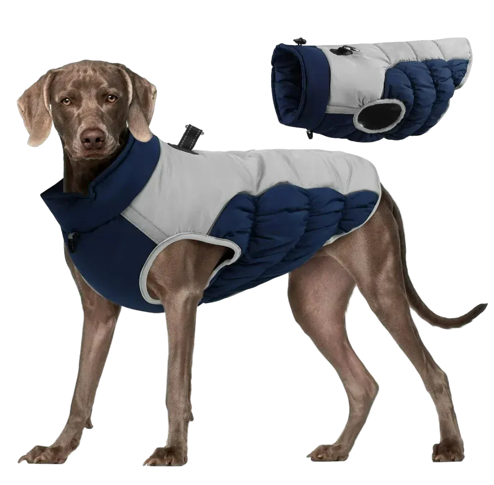 Pawmudder Clothing Navy / XL Windproof Warm Dog Jacket – Adventure-Ready Comfort